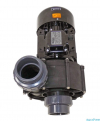Pompa przeciwprądowa Nowa BCC 550T - 84 m3/h - 400 V