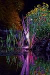 Oase Profilux Garden LED RGB kolorowy - oświetlenie stawu