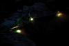Pontec PondoStar LED RGBW kolorowy Zestaw 3 - oświetlenie stawu