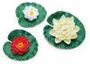 Pontec PondoLily Set 3 tavirózsa