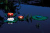 Pontec PondoSolar Lily LED Set 3 - Napelemes úszó LED világítás
