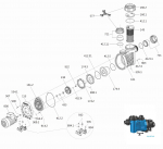 Ersatzteile für die Pumpe Badu Prime 30, 230V