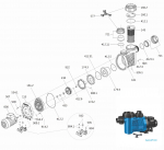 Ersatzteile für die Pumpe Badu Prime 40, 400V