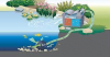 Oase Zestaw BioSmart 5000 - zestaw filtrów przepływowych do stawu