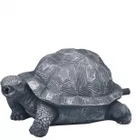 Oase Wasserspeier Schildkröte