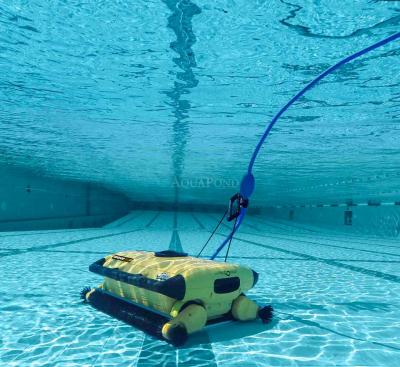 Maytronics Dolphin Wave 300 XL