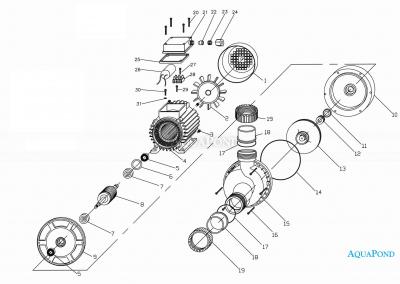 EVOLUX - 1000