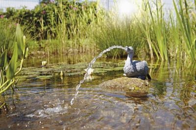 Oase Wasserspeier Ente