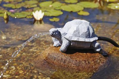 Oase Wasserspeier Schildkröte