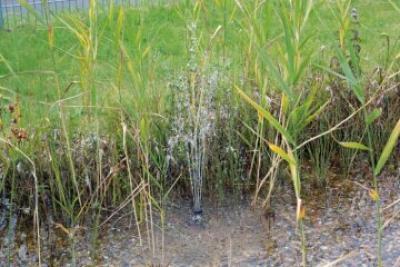 Pontec PondoSolar 600 Control - Solar Fontäne