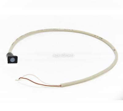 Sensor für Durchflusswächter