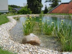 Schwimmteich, Gartenteich