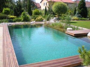 Schwimmteich