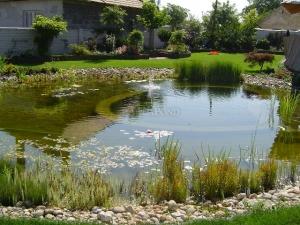 Schwimmteich
