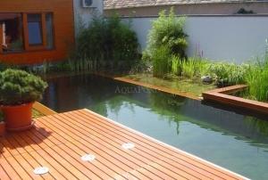 Bio-Schwimmbad, Schwimmbecken