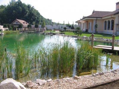Gartenteich, Schwimmteich, Bioteich