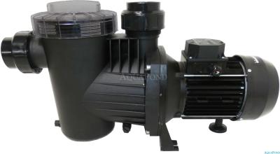 Pool pump Winner 150 T - 21 m3/h, 400 V, 1.00 kW