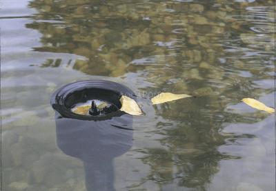 Oase AquaSkim 40 - pond skimmer