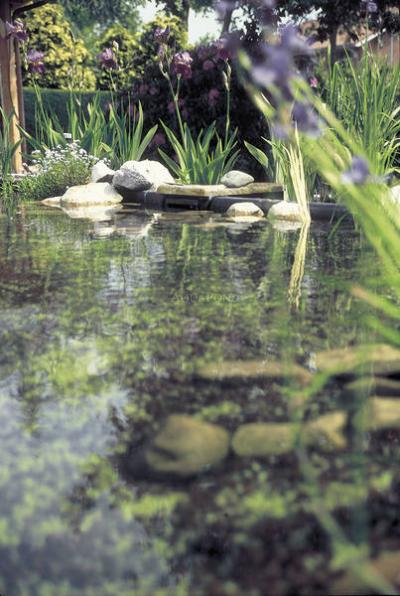 Oase BioSys Skimmer Plus - pond skimmer