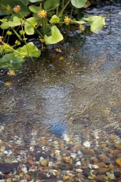 Oase AquaOxy 1000 - aerator for ponds