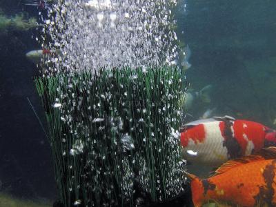 Oase OxyTex 1000 - aerator for ponds