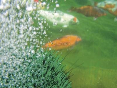 Oase OxyTex 1000 - aerator for ponds