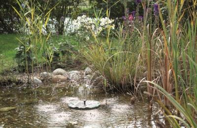 Pontec PondoSolar Lily Island - fontaine solaire