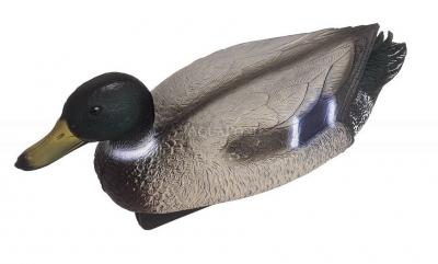 Pontec Canard colvert en plastique
