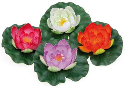 Pontec PondoLily - nénuphar flottant - 1pc