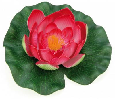 Pontec PondoLily - nénuphar flottant - 1pc