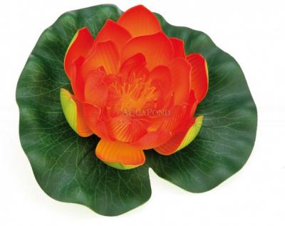 Pontec PondoLily - nénuphar flottant - 1pc