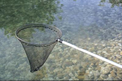 Oase Prise de poisson - petite