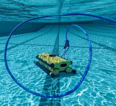 Maytronics Dolphin Wave 300 XL - aspirateur de piscine