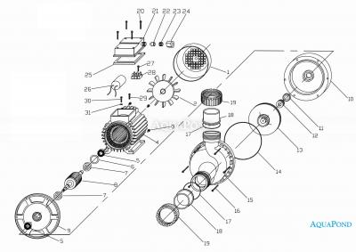  Pièces détachées pour la pompe EVOLUX - 2000