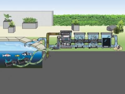 Oase ProfiClear Premium DF-XL OC alimenté par pompe - filtre à tambour de bassin - raccord de pompe