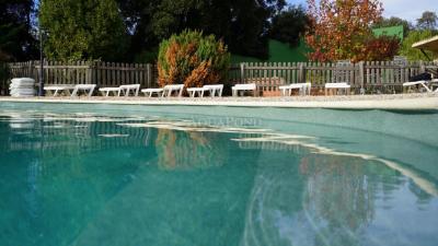 ALKORPLAN VOGUE - Tropical; 1,65 m de large, 2,0 mm d'épaisseur, métrage - Film de piscine, le prix est au m2