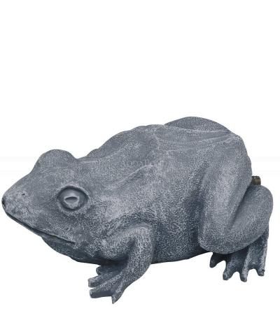 Oase Grenouille - jaillissant de l'eau