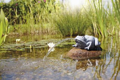 Oase Grenouille - jaillissant de l'eau