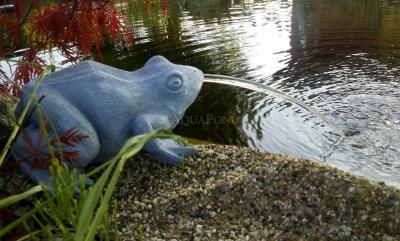 Oase Grenouille - jaillissant de l'eau