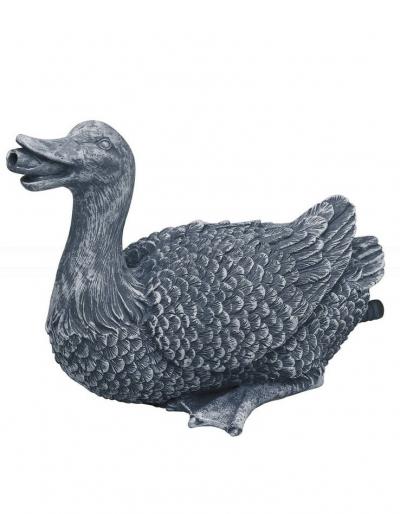 Oase Canard - jaillissant de l'eau