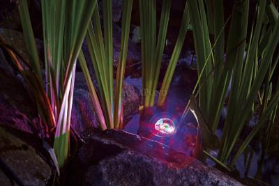 Oase Profilux Garden LED RGB u boji - rasvjeta za ribnjak