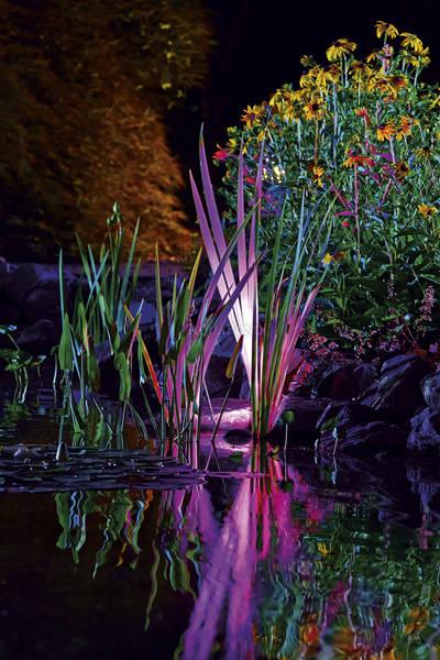 Oase Profilux Garden LED RGB u boji - rasvjeta za ribnjak