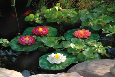 Pontec PondoLily Set od 3 - plutajući lopoči - RASPRODAJA