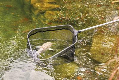 Oase Profi Fish Net - mreža