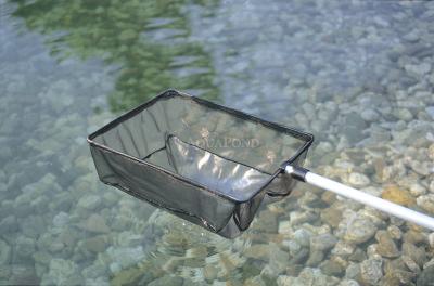 Oase Hvatač trepavica - mali