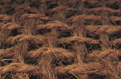 Oase Kokos podloga za jezerce širine 1m na metar