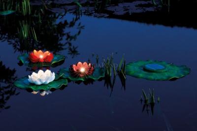 Pontec PondoSolar Lily LED set od 3 - Set solarne LED rasvjete - RASPRODAJA