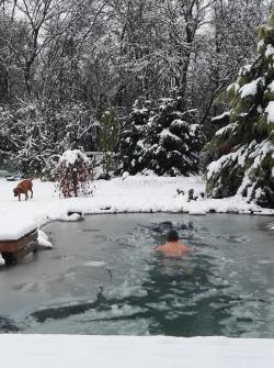 Kerti tavak, az Aquapond Kft kivitelezése