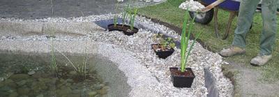  Kosár vízi növényekhez 20 cm x 20 cm, kerti tó