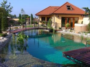 kerti tavak, medence